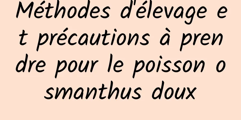 Méthodes d'élevage et précautions à prendre pour le poisson osmanthus doux