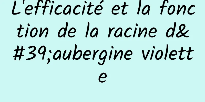 L'efficacité et la fonction de la racine d'aubergine violette