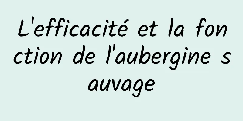 L'efficacité et la fonction de l'aubergine sauvage