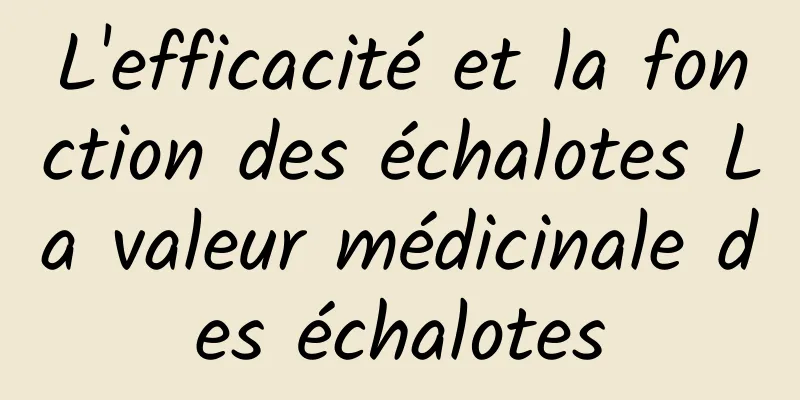 L'efficacité et la fonction des échalotes La valeur médicinale des échalotes
