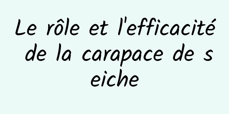 Le rôle et l'efficacité de la carapace de seiche