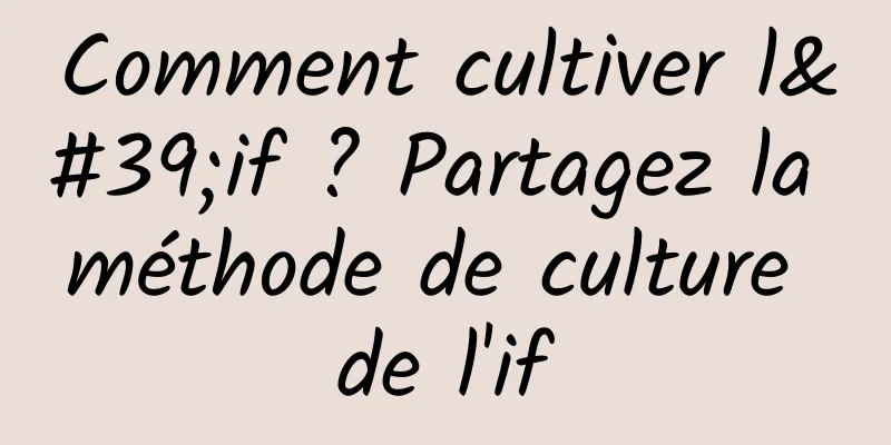 Comment cultiver l'if ? Partagez la méthode de culture de l'if