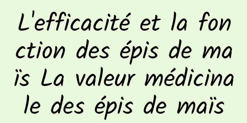 L'efficacité et la fonction des épis de maïs La valeur médicinale des épis de maïs