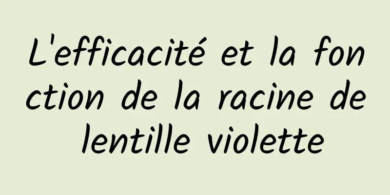 L'efficacité et la fonction de la racine de lentille violette