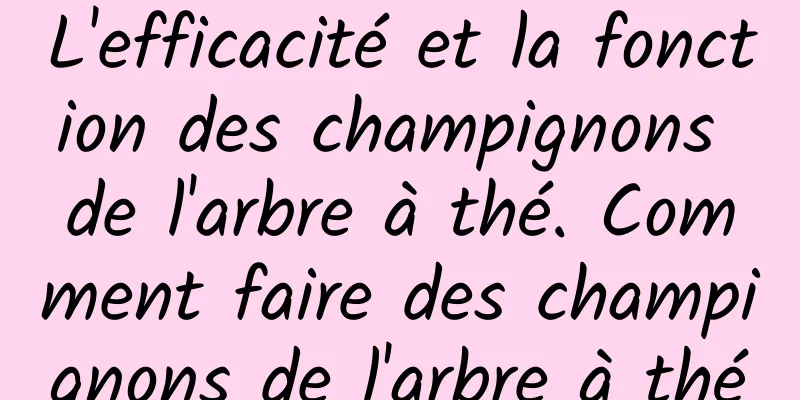 L'efficacité et la fonction des champignons de l'arbre à thé. Comment faire des champignons de l'arbre à thé