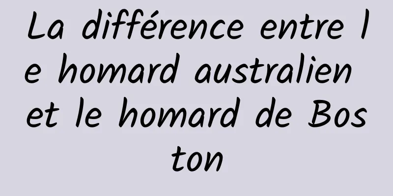 La différence entre le homard australien et le homard de Boston