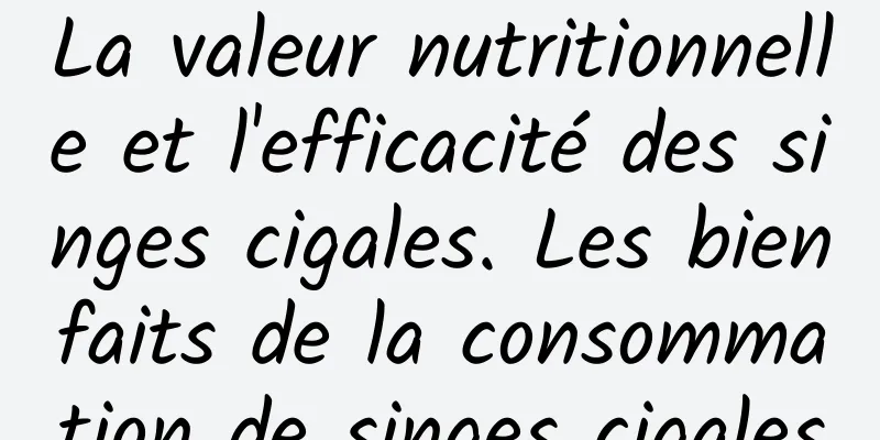 La valeur nutritionnelle et l'efficacité des singes cigales. Les bienfaits de la consommation de singes cigales