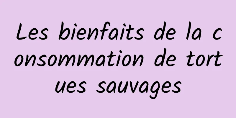 Les bienfaits de la consommation de tortues sauvages