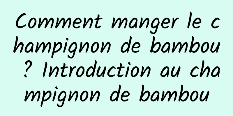 Comment manger le champignon de bambou ? Introduction au champignon de bambou