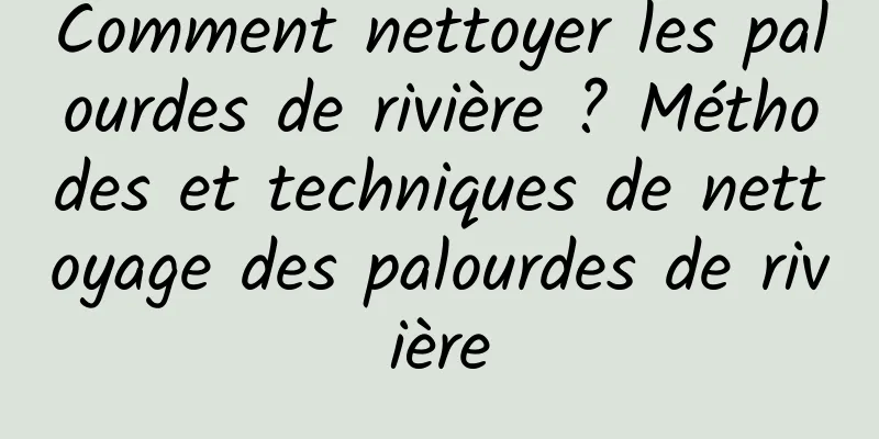 Comment nettoyer les palourdes de rivière ? Méthodes et techniques de nettoyage des palourdes de rivière