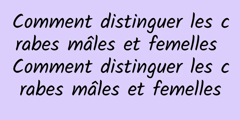 Comment distinguer les crabes mâles et femelles Comment distinguer les crabes mâles et femelles