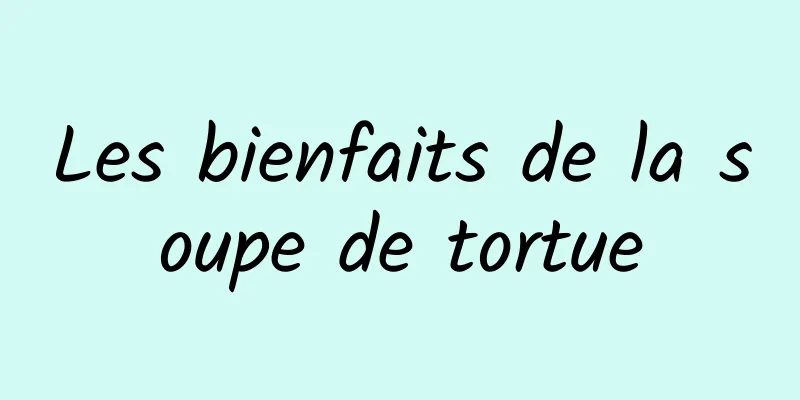 Les bienfaits de la soupe de tortue