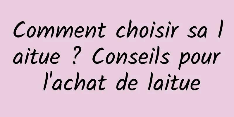 Comment choisir sa laitue ? Conseils pour l'achat de laitue