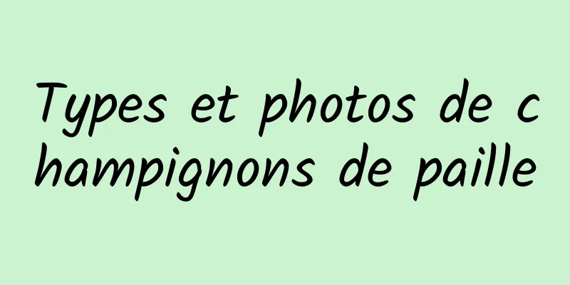 Types et photos de champignons de paille