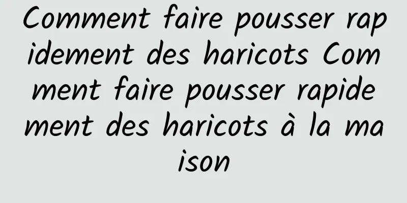 Comment faire pousser rapidement des haricots Comment faire pousser rapidement des haricots à la maison