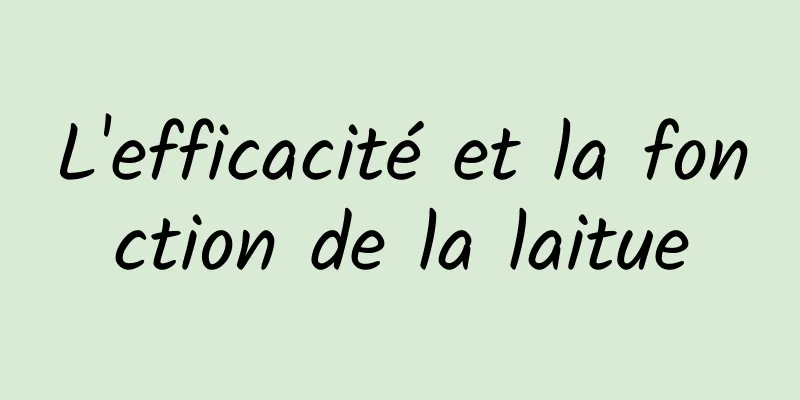 L'efficacité et la fonction de la laitue