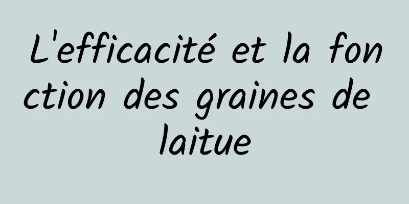 L'efficacité et la fonction des graines de laitue