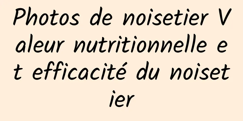 Photos de noisetier Valeur nutritionnelle et efficacité du noisetier