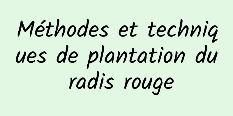 Méthodes et techniques de plantation du radis rouge