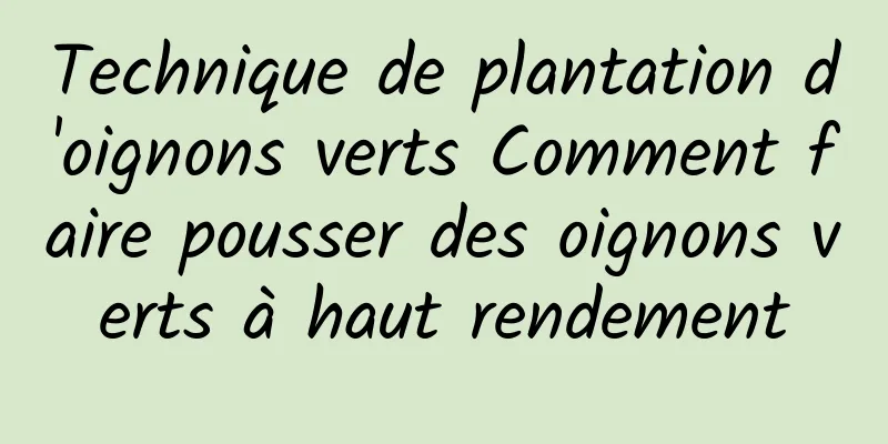 Technique de plantation d'oignons verts Comment faire pousser des oignons verts à haut rendement