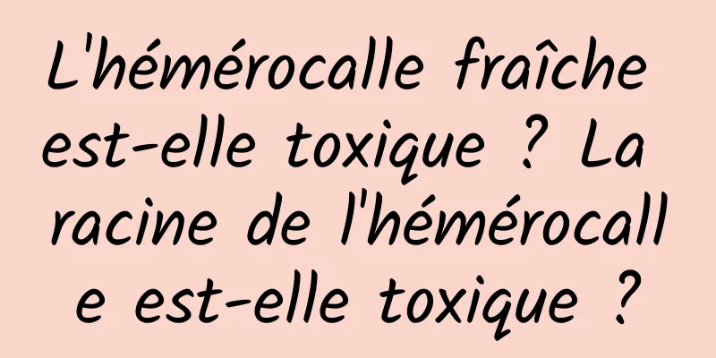 L'hémérocalle fraîche est-elle toxique ? La racine de l'hémérocalle est-elle toxique ?