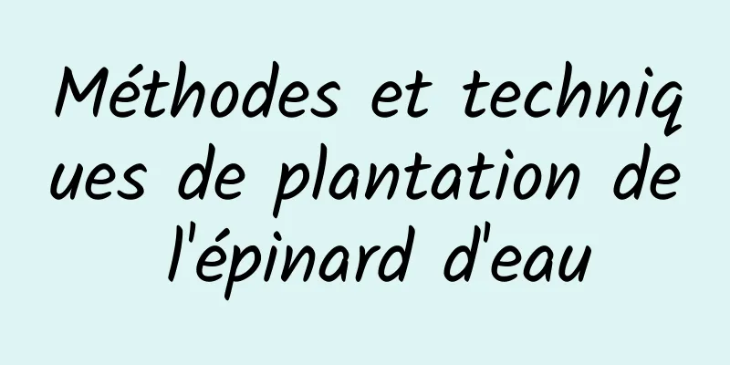Méthodes et techniques de plantation de l'épinard d'eau
