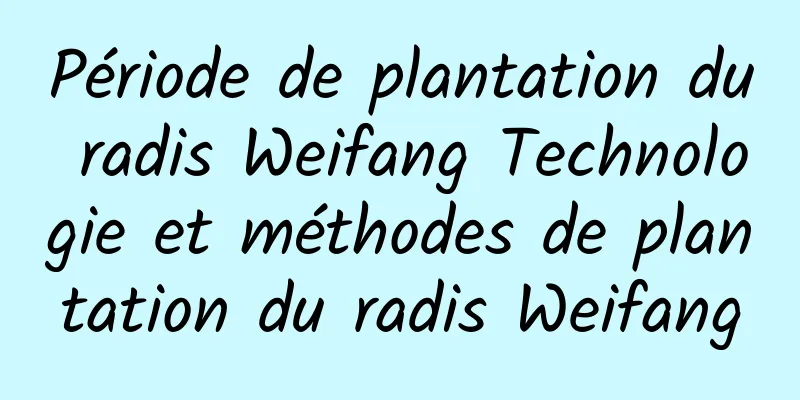 Période de plantation du radis Weifang Technologie et méthodes de plantation du radis Weifang