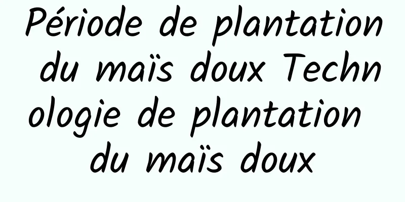 Période de plantation du maïs doux Technologie de plantation du maïs doux