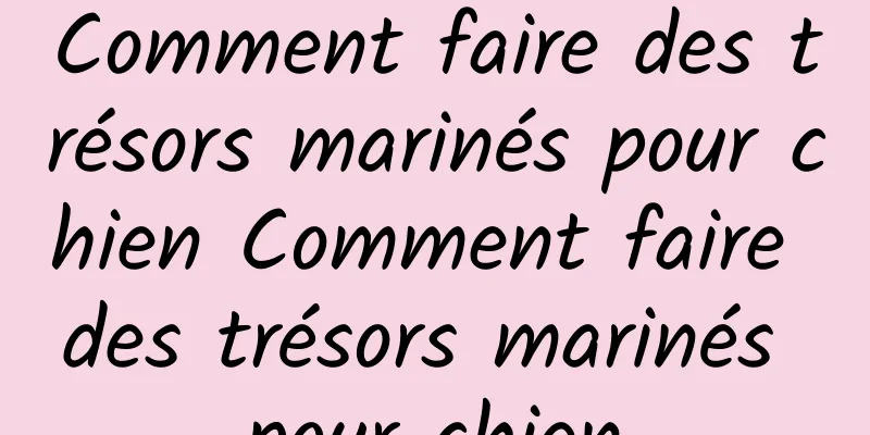 Comment faire des trésors marinés pour chien Comment faire des trésors marinés pour chien