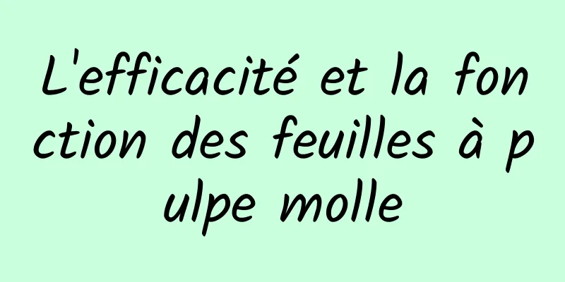 L'efficacité et la fonction des feuilles à pulpe molle