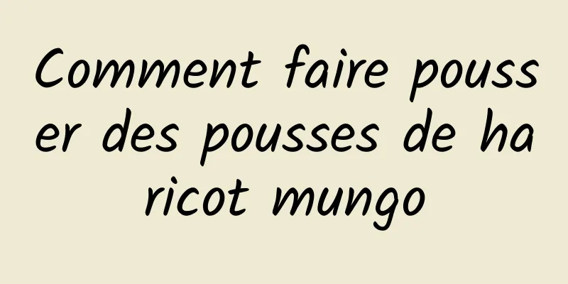 Comment faire pousser des pousses de haricot mungo