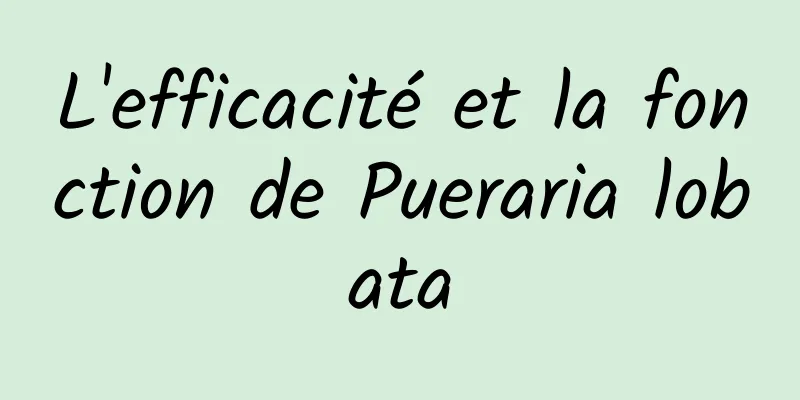L'efficacité et la fonction de Pueraria lobata