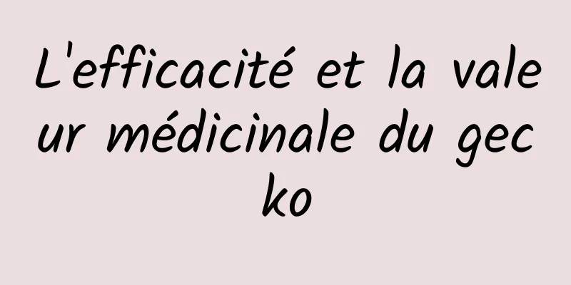 L'efficacité et la valeur médicinale du gecko