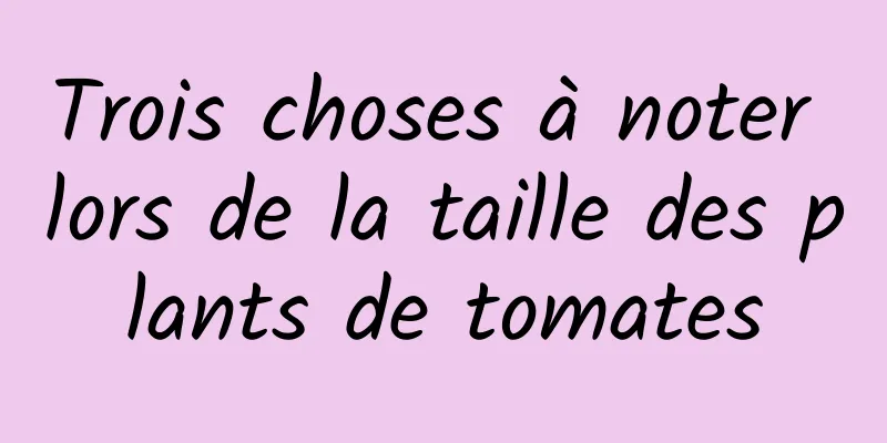 Trois choses à noter lors de la taille des plants de tomates