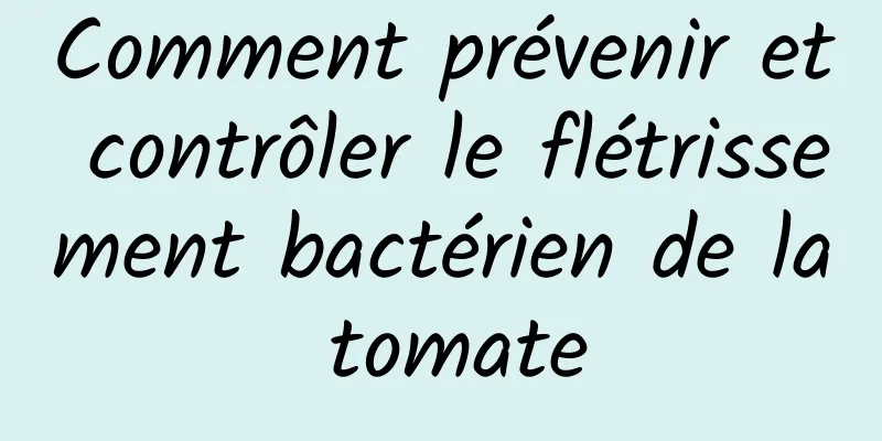 Comment prévenir et contrôler le flétrissement bactérien de la tomate