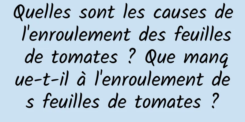 Quelles sont les causes de l'enroulement des feuilles de tomates ? Que manque-t-il à l'enroulement des feuilles de tomates ?