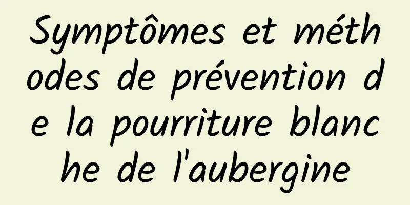 Symptômes et méthodes de prévention de la pourriture blanche de l'aubergine
