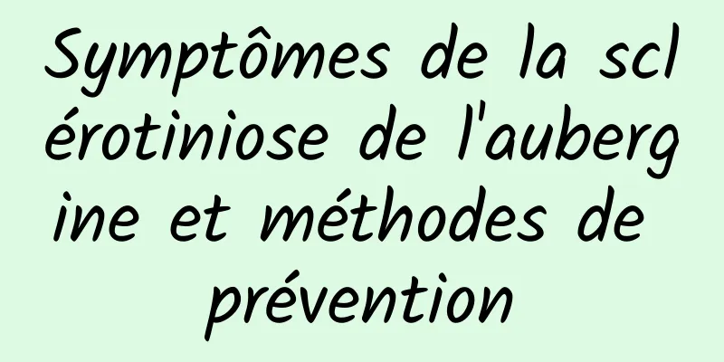 Symptômes de la sclérotiniose de l'aubergine et méthodes de prévention