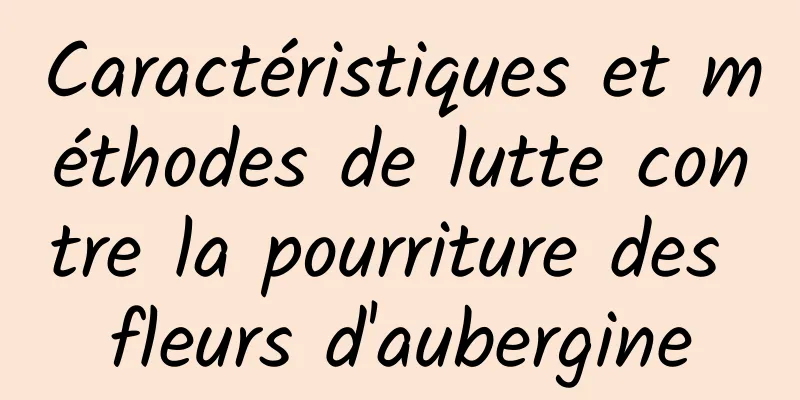 Caractéristiques et méthodes de lutte contre la pourriture des fleurs d'aubergine