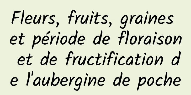 Fleurs, fruits, graines et période de floraison et de fructification de l'aubergine de poche
