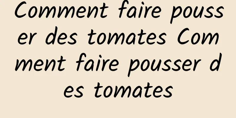 Comment faire pousser des tomates Comment faire pousser des tomates