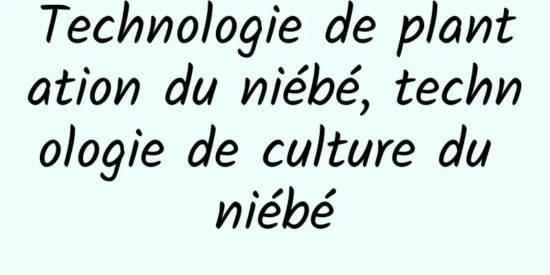 Technologie de plantation du niébé, technologie de culture du niébé