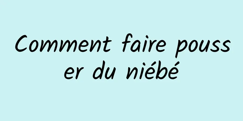 Comment faire pousser du niébé