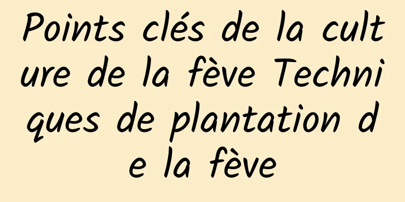 Points clés de la culture de la fève Techniques de plantation de la fève