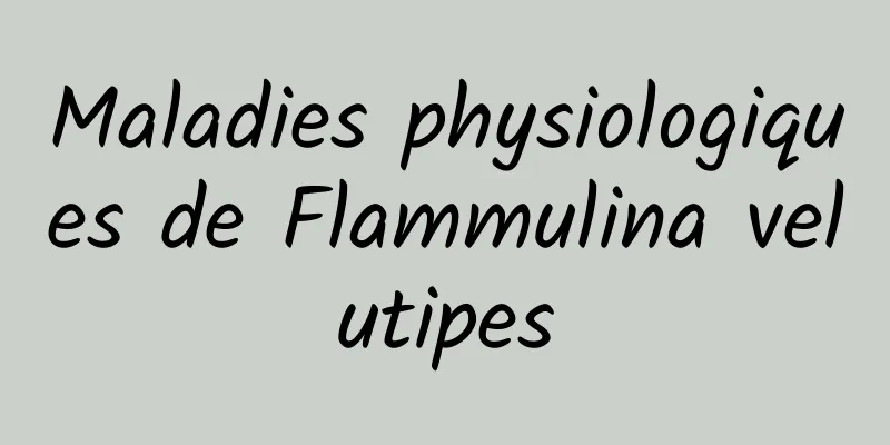 Maladies physiologiques de Flammulina velutipes