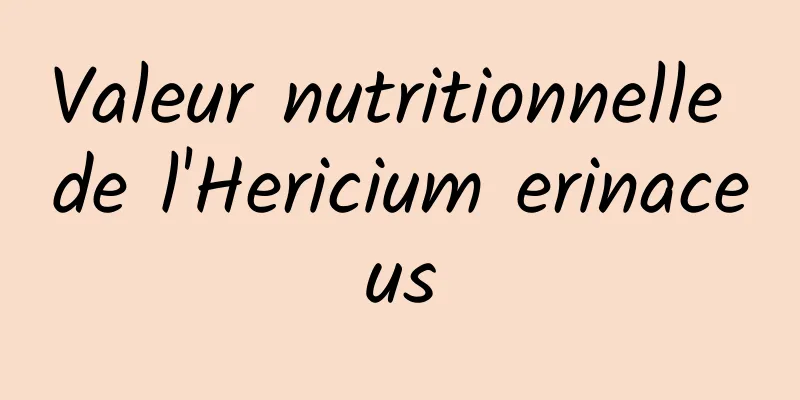 Valeur nutritionnelle de l'Hericium erinaceus