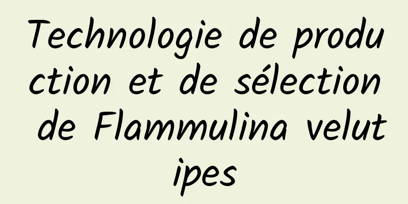 Technologie de production et de sélection de Flammulina velutipes