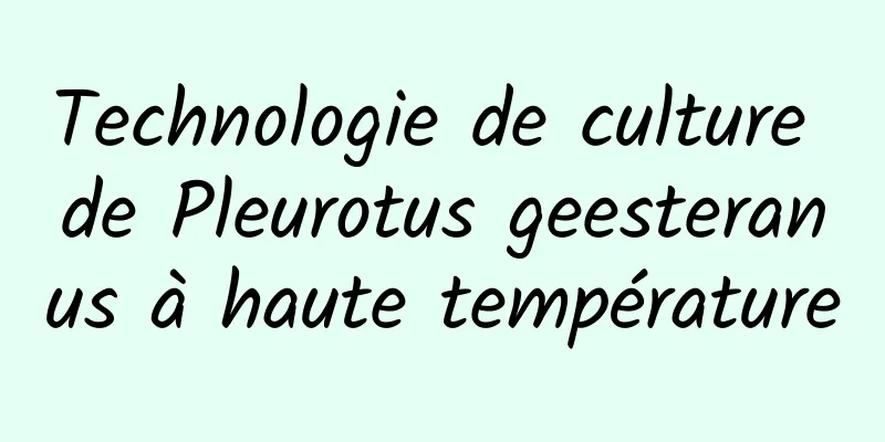 Technologie de culture de Pleurotus geesteranus à haute température