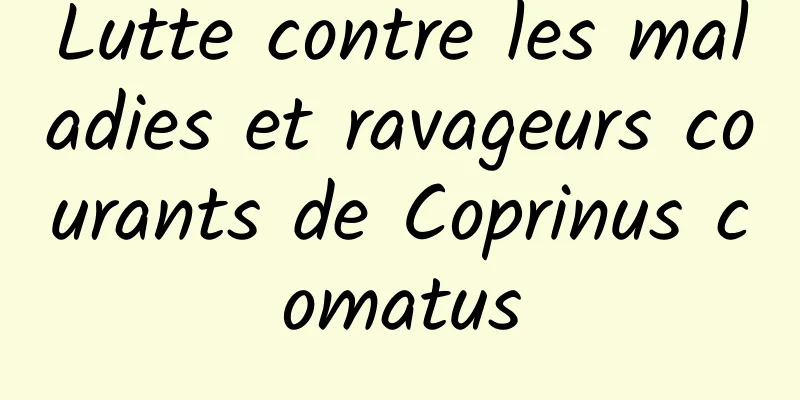 Lutte contre les maladies et ravageurs courants de Coprinus comatus