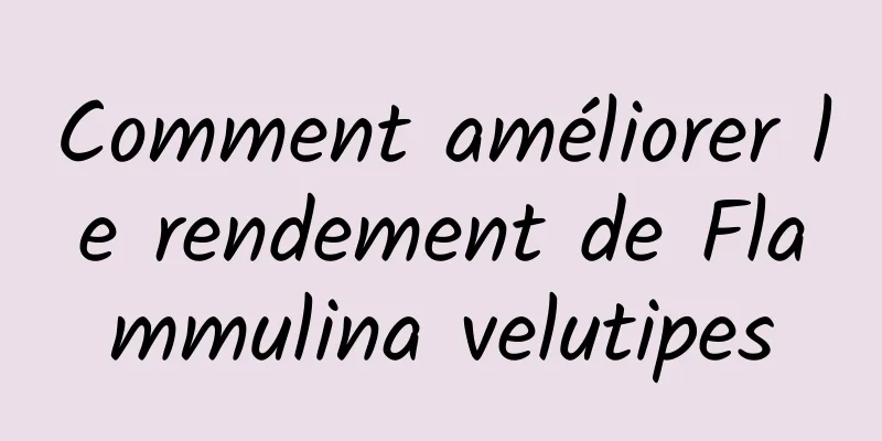 Comment améliorer le rendement de Flammulina velutipes